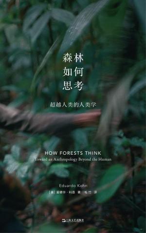 森林如何思考